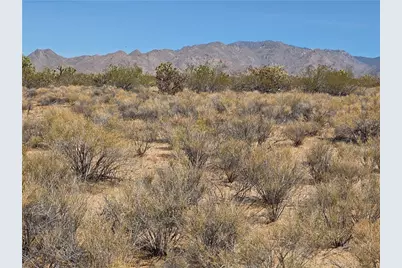 Lot 196 E Bush Road, Yucca, AZ 86438 - Photo 3