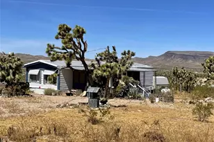 17192 N Merry Dr, Dolan Springs, AZ 86441 - Photo 3