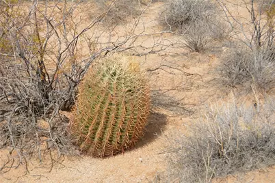 207-35-005 S Arlington Road, Yucca, AZ 86438 - Photo 31