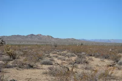 3271 S Arlington Road, Yucca, AZ 86438 - Photo 3
