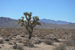 3271 S Arlington Rd, Yucca, AZ 86438 - Photo 1