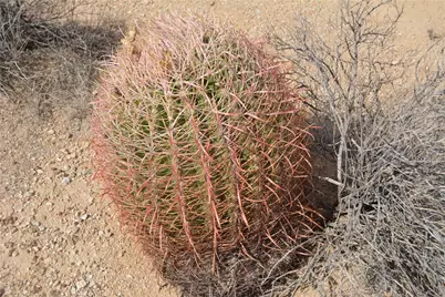 207-35-005 S Arlington Road, Yucca, AZ 86438 - Photo 33