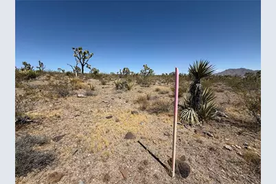 319-08-425 Kingman Drive, Dolan Springs, AZ 86441 - Photo 11