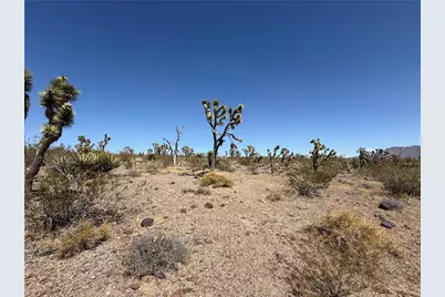 319-08-425 Kingman Drive, Dolan Springs, AZ 86441 - Photo 9