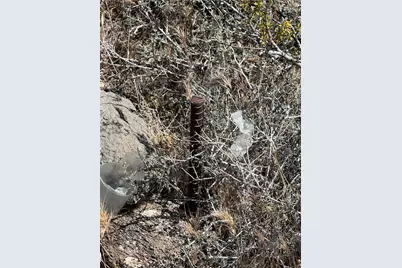 319-08-425 Kingman Drive, Dolan Springs, AZ 86441 - Photo 13