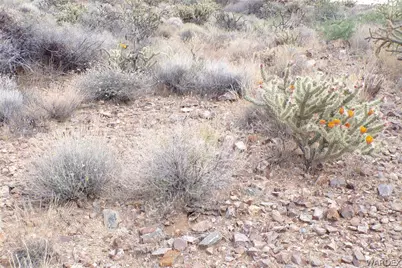 330-25-040 W Castle Springs Road, Golden Valley, AZ 86413 - Photo 11