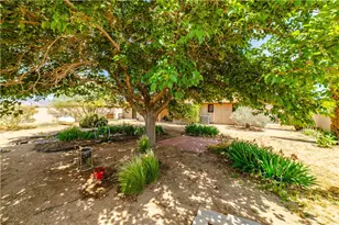 10041 N Concho Dr, Kingman, AZ 86401 - Photo 49