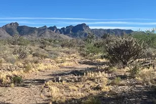 327-06-276 20th St, Dolan Springs, AZ 86441 - Photo 1