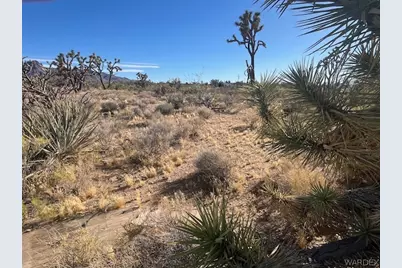00 20th Street, Dolan Springs, AZ 86441 - Photo 11