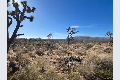 00 20th Street, Dolan Springs, AZ 86441 - Photo 9