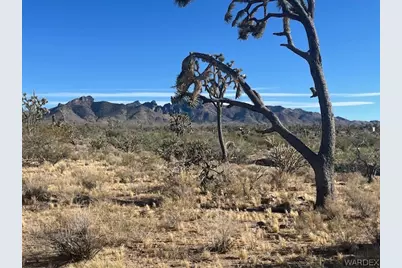 00 20th Street, Dolan Springs, AZ 86441 - Photo 15