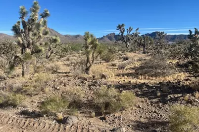 00 20th Street, Dolan Springs, AZ 86441 - Photo 7