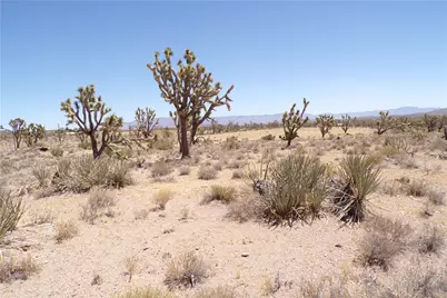 327-05-338 N Lost Mine, Dolan Springs, AZ 86441 - Photo 21