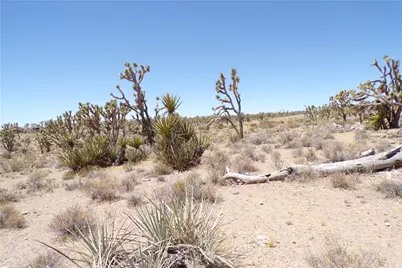 327-05-338 N Lost Mine, Dolan Springs, AZ 86441 - Photo 25