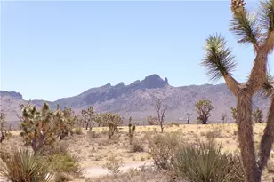 327-05-338 N Lost Mine, Dolan Springs, AZ 86441 - Photo 1