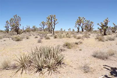 327-05-338 N Lost Mine, Dolan Springs, AZ 86441 - Photo 11