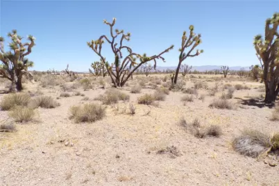 327-05-338 N Lost Mine, Dolan Springs, AZ 86441 - Photo 13