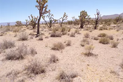 327-05-338 N Lost Mine, Dolan Springs, AZ 86441 - Photo 17