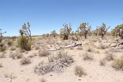 327-05-338 N Lost Mine, Dolan Springs, AZ 86441 - Photo 19