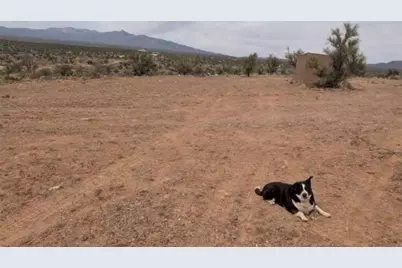 354-03-011C S Windy Ridge Drive, Kingman, AZ 86409 - Photo 3