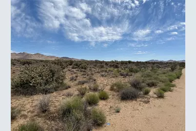 340-16-072 Cedar Road, Dolan Springs, AZ 86441 - Photo 5