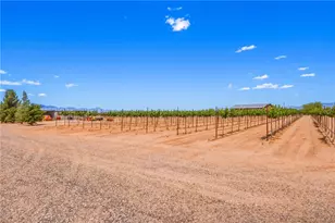6861 Brooks Blvd, Kingman, AZ 86401 - Photo 63