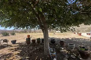 21168 N Ventura Dr, White Hills, AZ 86445 - Photo 41