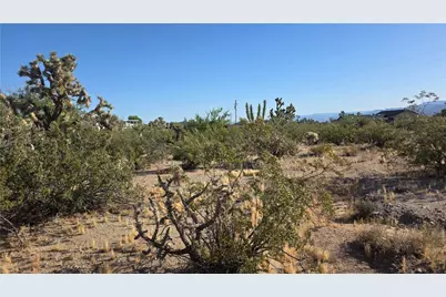 29952 Driftwood Drive, Meadview, AZ 86444 - Photo 19