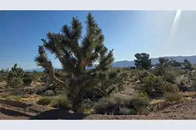 29952 Driftwood Drive, Meadview, AZ 86444 - Photo 1