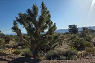 29952 Driftwood Dr, Meadview, AZ 86444 - Photo 1