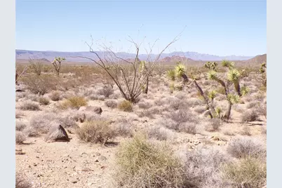 244-06-262 E Joshua Road, Yucca, AZ 86438 - Photo 7