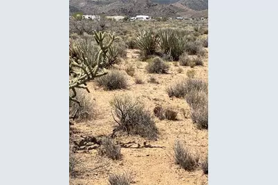 Lot 196 N Sawyer Drive, Kingman, AZ 86409 - Photo 7