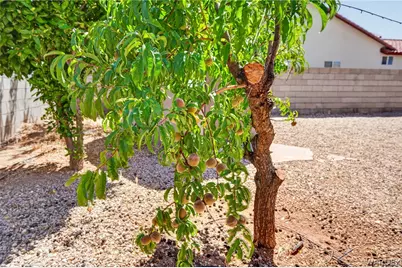 3195 Jennifer Avenue, Kingman, AZ 86401 - Photo 33