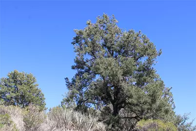 253-08-104 Clove Hitch Hlw, Kingman, AZ 86409 - Photo 5