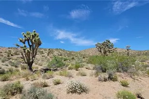 416 Oro Dr, White Hills, AZ 86445 - Photo 1