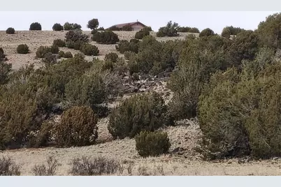 15 County Rd N8641, Concho, AZ 85924 - Photo 91