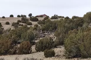 15 County Rd N8641, Concho, AZ 85924 - Photo 91