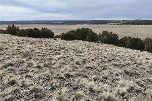 15 County Rd N8641, Concho, AZ 85924 - Photo 55
