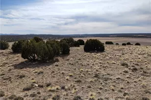 15 County Rd N8641, Concho, AZ 85924 - Photo 41