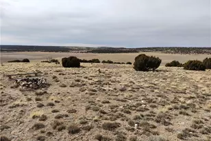15 County Rd N8641, Concho, AZ 85924 - Photo 39