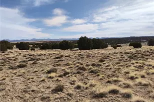 15 County Rd N8641, Concho, AZ 85924 - Photo 61