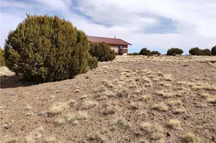 15 County Rd N8641, Concho, AZ 85924 - Photo 57