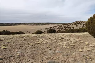 15 County Rd N8641, Concho, AZ 85924 - Photo 53