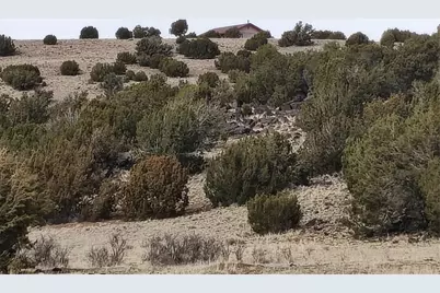 15 County Rd N8641, Concho, AZ 85924 - Photo 93