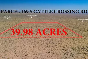 Parcel 169 S Cattle Crossing Rd, Yucca, AZ 86438 - Photo 1