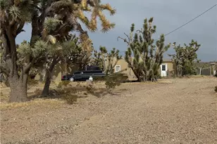 18176 N Peach Dr, Dolan Springs, AZ 86441 - Photo 41