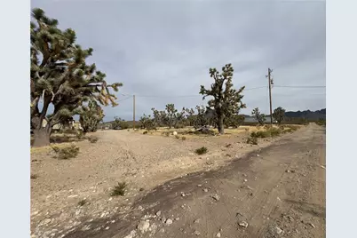 18176 N Peach Drive, Dolan Springs, AZ 86441 - Photo 43