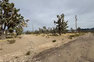 18176 N Peach Dr, Dolan Springs, AZ 86441 - Photo 43