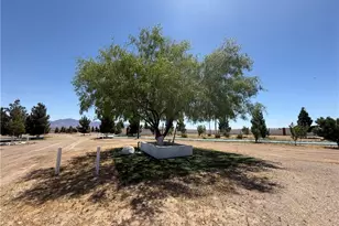 10801 7th St, Dolan Springs, AZ 86441 - Photo 25