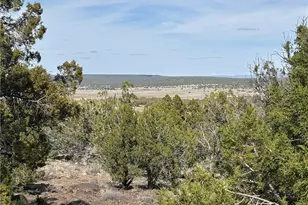 17 Doe Trail, Kingman, AZ 86401 - Photo 1